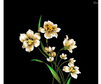 Daffodil Watercolor Psd Material
