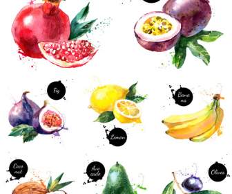 Disegno Deliziosi Frutti