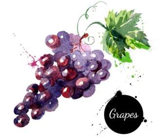 Delicious Grape Splash Watercolor