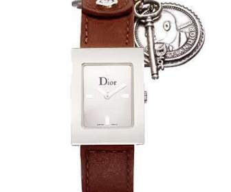 dior dior watches psd material