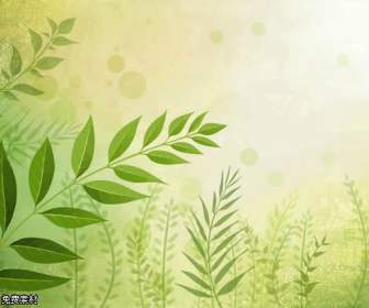 Dream Green Background Psd Material