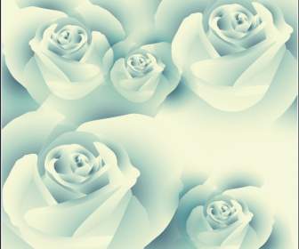 Elegante Rosen Hintergrund