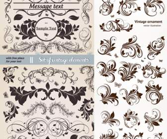 Lace Pattern Classico Europeo