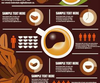 Exquisite Coffee Information