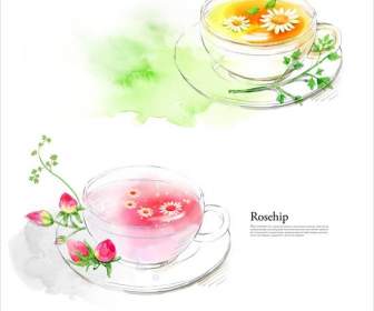 Materiale Psd Illustratore Di Moda Rose Tea