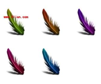 feather icon photoshop software