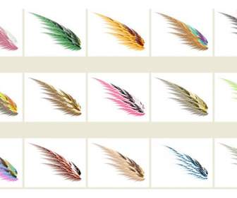 feather material png