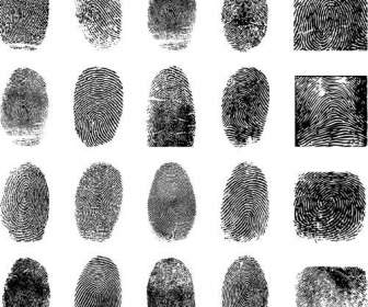 Fingerprint Fingerprint Material