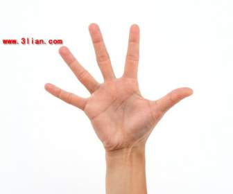 five fingers gestures