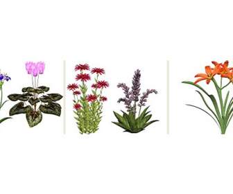 flower material png