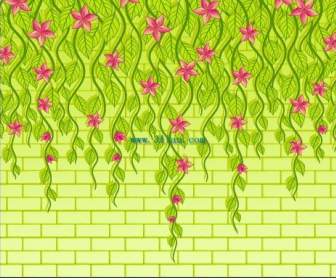 벽에 꽃