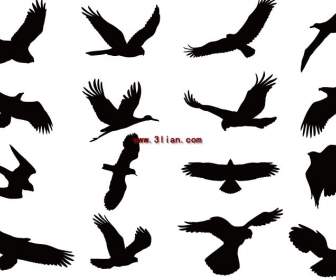 Silhouettes D'oiseaux Volants