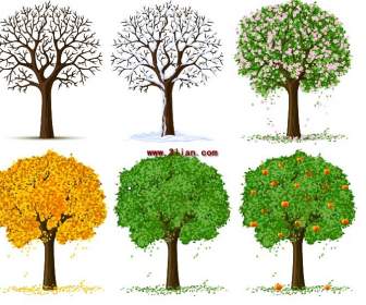 Vier Jahreszeiten-Baum