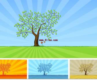 Cztery Pory Roku Drzewa Materiał