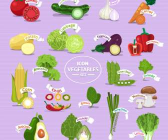 新鮮蔬菜圖示