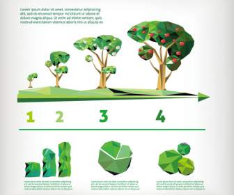 Información De La Geometría De árboles Frutales