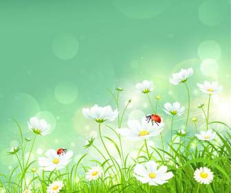 Gesang-Blumen Im Frühling Grün Hintergrund