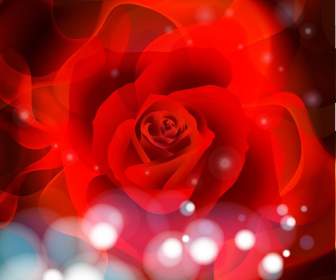 Blendung Mit Roten Rosen