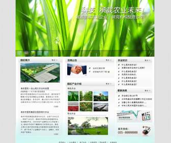 Global Agribusiness Website Psd Template