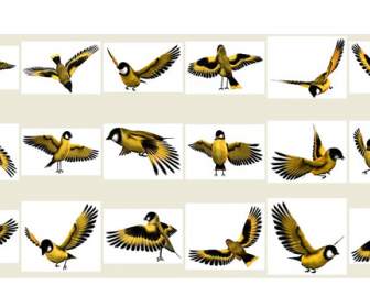 Dourado Material De Png Pássaro Voador