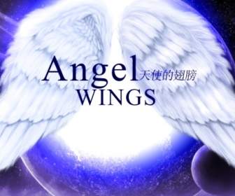 Gorgeous Beautiful Angel Wings Backgrounds Psd Material