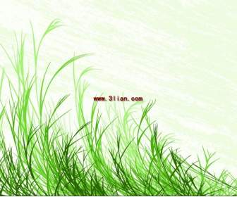 Grüne Gras