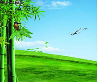 Green Grass Grass Bamboo Psd Material