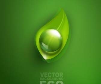 Verde Verde Idee