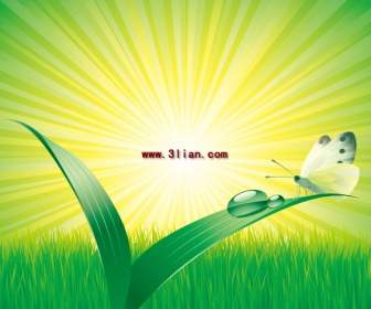 Zielony Liść Koraliki Słońce Motyle