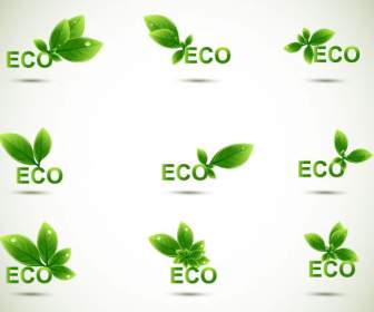ไอคอนสีเขียวใบไม้สีเขียว Eco