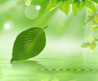 Green Leaf Watermark Background Psd Material