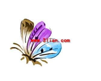 Hand Painted Butterflies Psd Layered Material