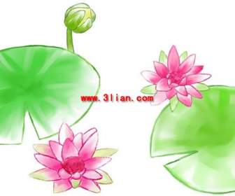 Hand Painted Lotus Psd Layered Material