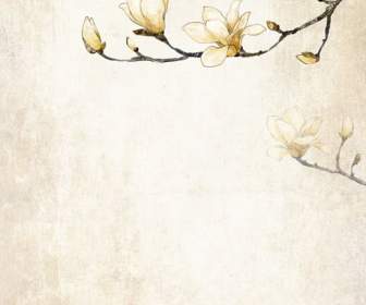 Hand Painted Magnolia Psd Material