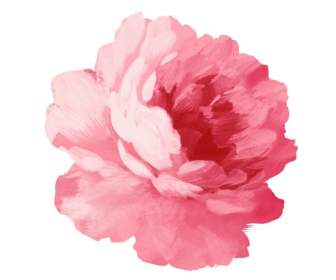 hand painted peony layered psd source material