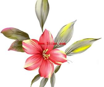 Ręcznie Malowane Bauhinia Kwiat Materiał Warstwowe Psd