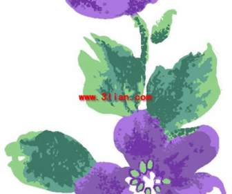 Ręcznie Malowane Bauhinia Kwiat Materiał Warstwowe Psd