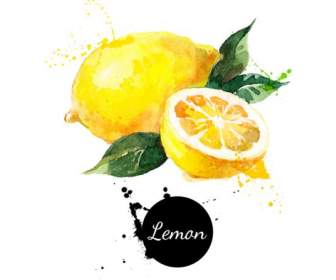 Hand Painted Watercolor Background Of Lemon
