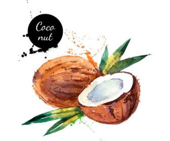 Hand Painted Watercolor Coconut