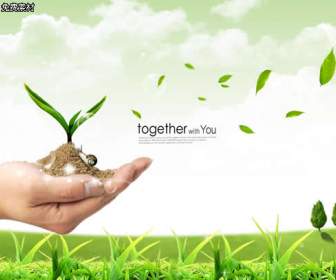 hand picked seedling grass psd material