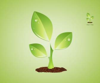 healthy seedlings green psd template material