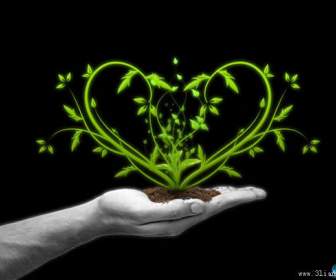 heart shaped plant psd material