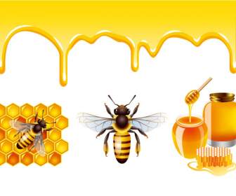 蜂蜜和蜂的設計