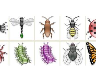 Insect Png Icons