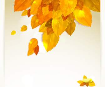 Jin Liangliang Autumn Leaf Theme