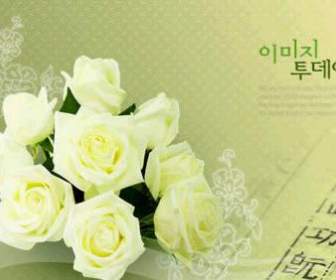 Fond Fleur Coréenne