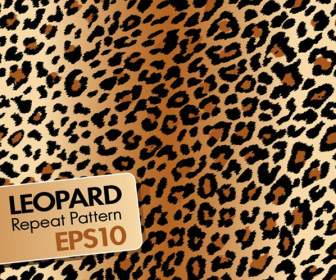 Leopard の背景