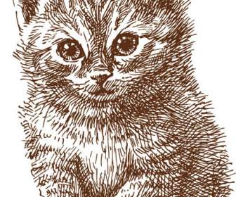 Line Drawing Animals Cute Cat