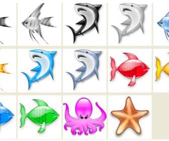 Marine Fish Animal Png Icons