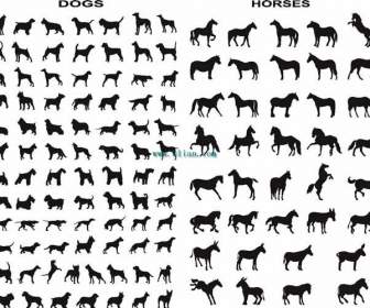Nhiều Hơn đen Ngựa Và Chó